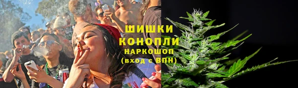 меф Арсеньев