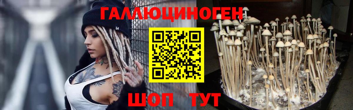 Псилоцибиновые грибы MAGIC MUSHROOMS Новомосковск